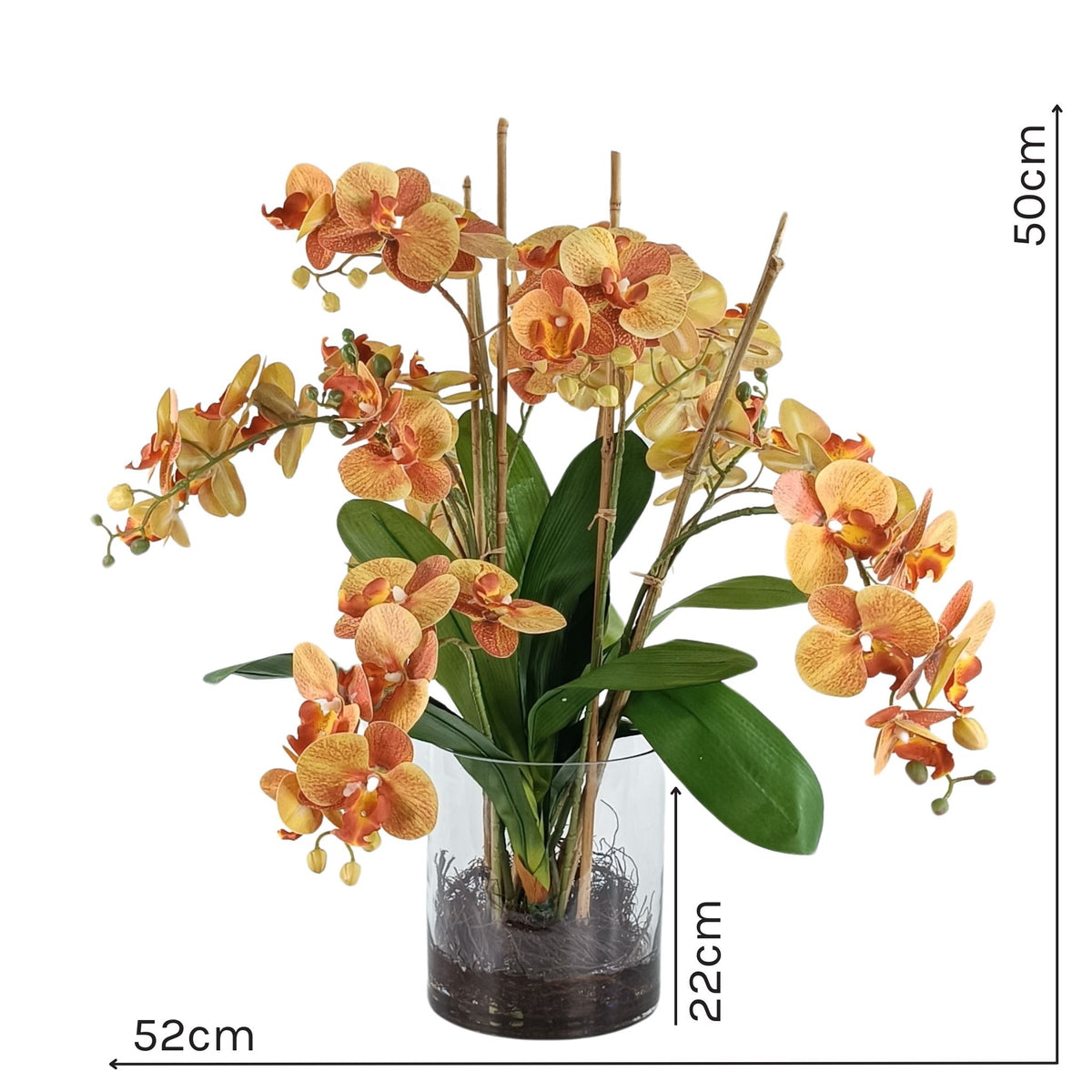 Phalaenopsis Orchid Orange in Glass Cylinder Vase