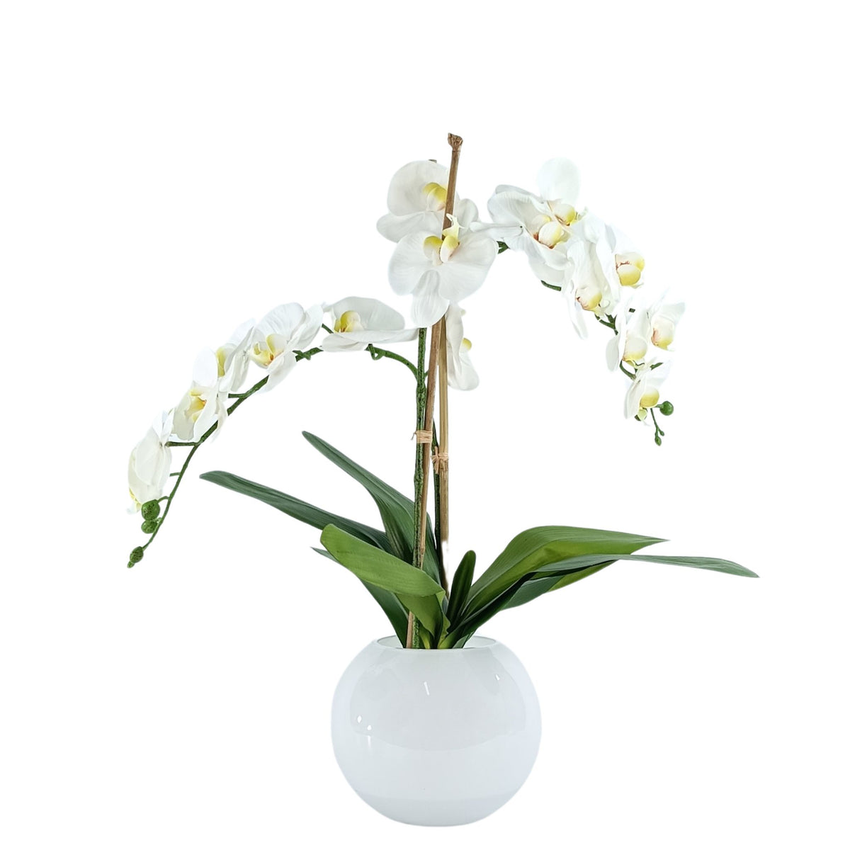 Phalaenopsis Orchid White Arrangement in White Gloss Fishbowl Vase. Full view of silk flowers. Available from www.plantcouture.co.za