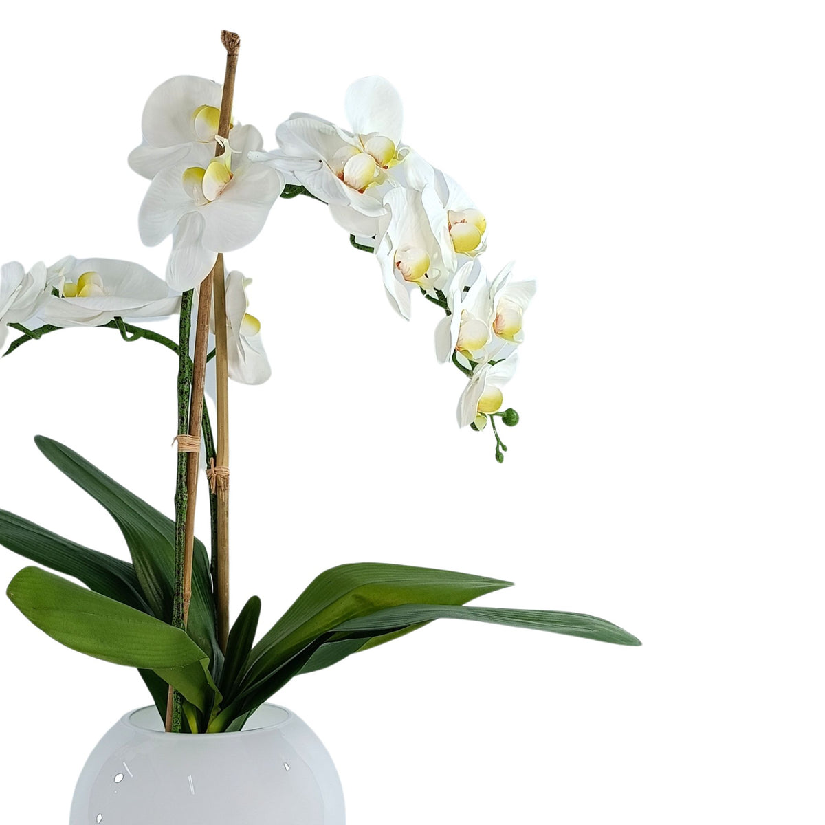 Phalaenopsis Orchid White Arrangement in White Gloss Fishbowl Vase. Side view of silk flowers. Available from www.plantcouture.co.za