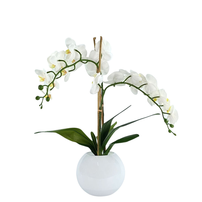 Phalaenopsis Orchid White Arrangement in White Gloss Fishbowl Vase. Back full view of silk flowers. Available from www.plantcouture.co.za