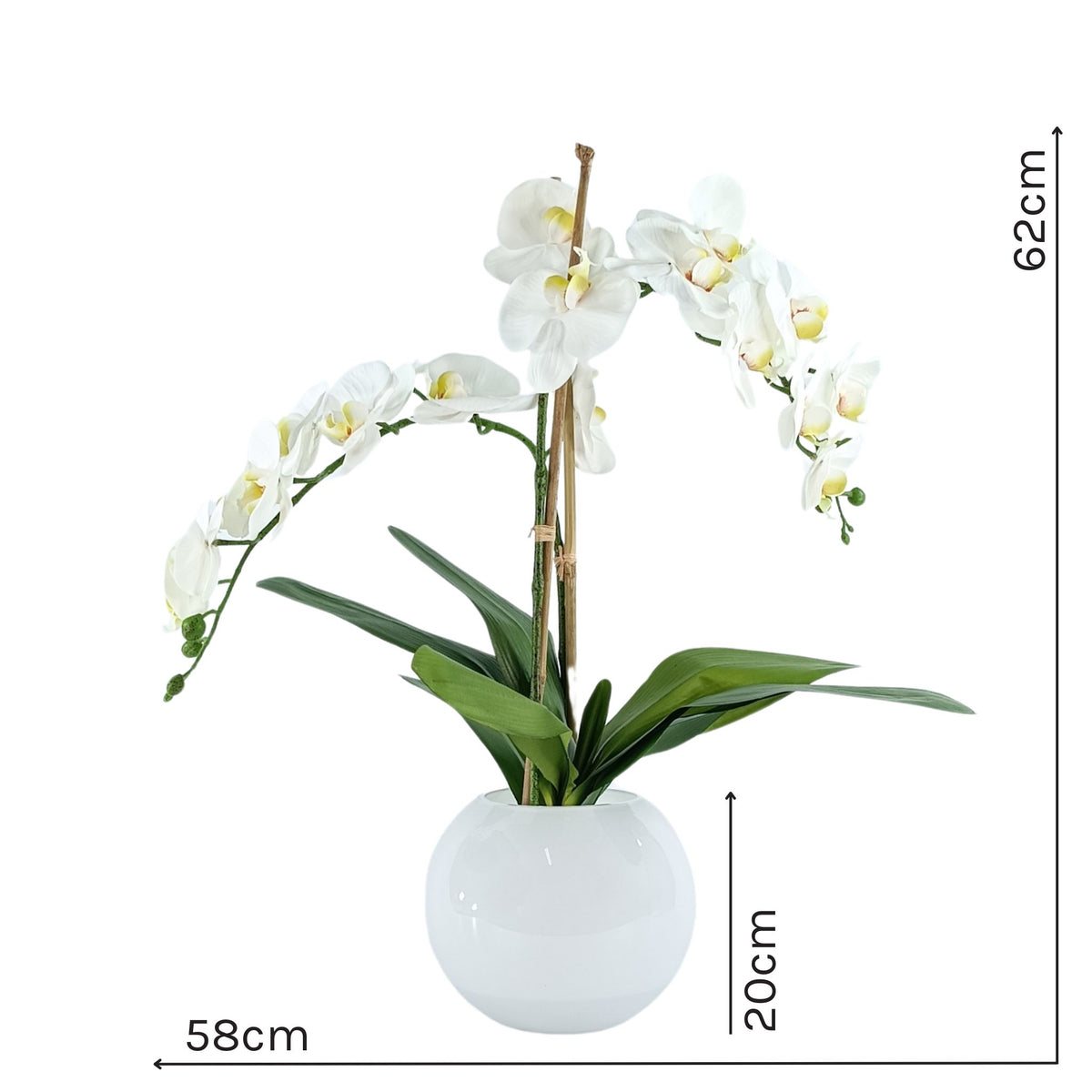Phalaenopsis Orchid White Arrangement in White Gloss Fishbowl Vase. Full view of silk flowers with measurements. Available from www.plantcouture.co.za