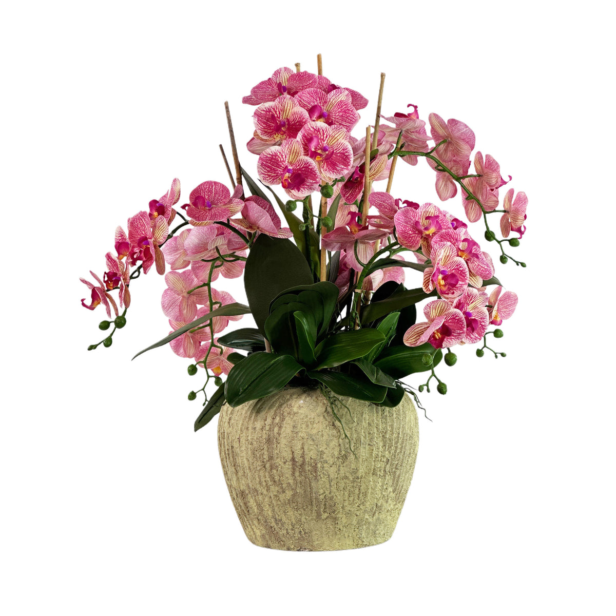 Artificial Phaelaenopsis Pink Arrangement set n Textured Green Cement vase
