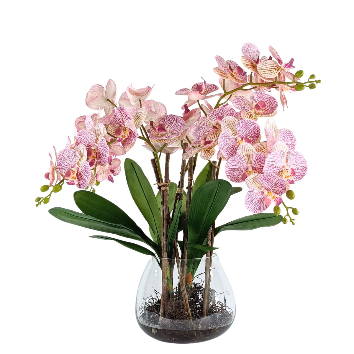 Phalaenopsis Pink White Orchid Arrangement in Glass Vase. Full view. Available from www.plantcouture.co.za