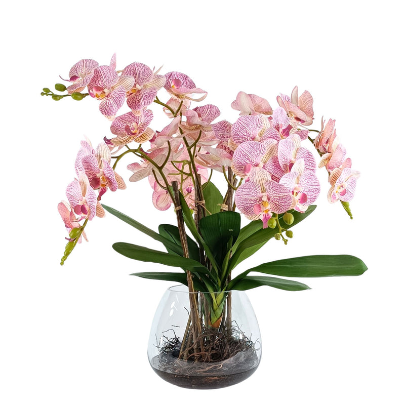 Phalaenopsis Pink White Orchid Arrangement in Glass Vase. Full view. Available from www.plantcouture.co.za