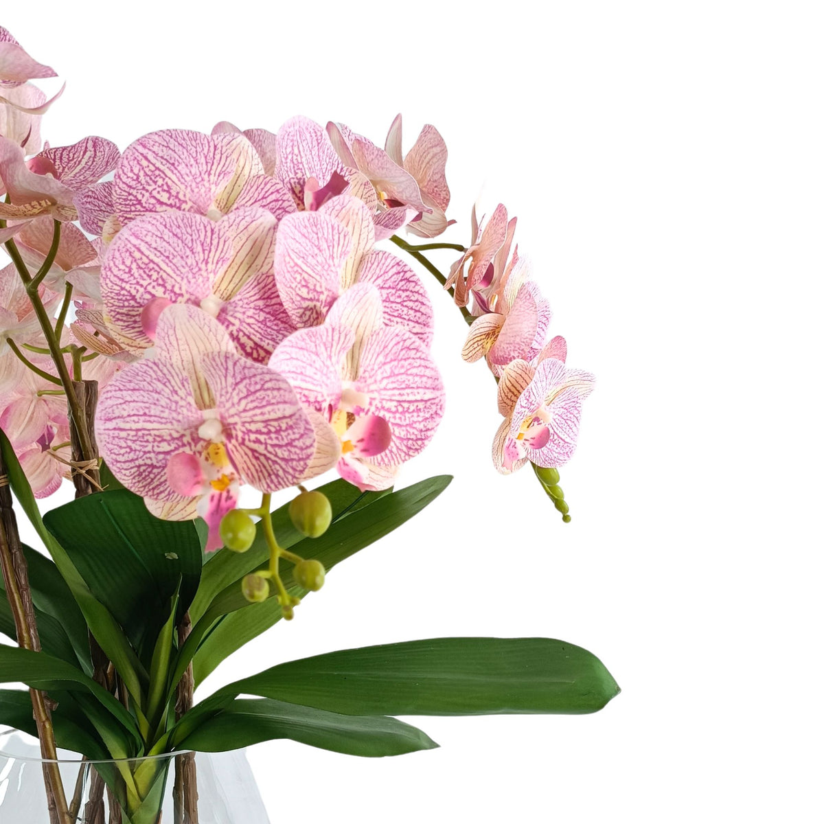 Phalaenopsis Pink White Orchid Arrangement in Glass Vase. Close up side view. Available from www.plantcouture.co.za