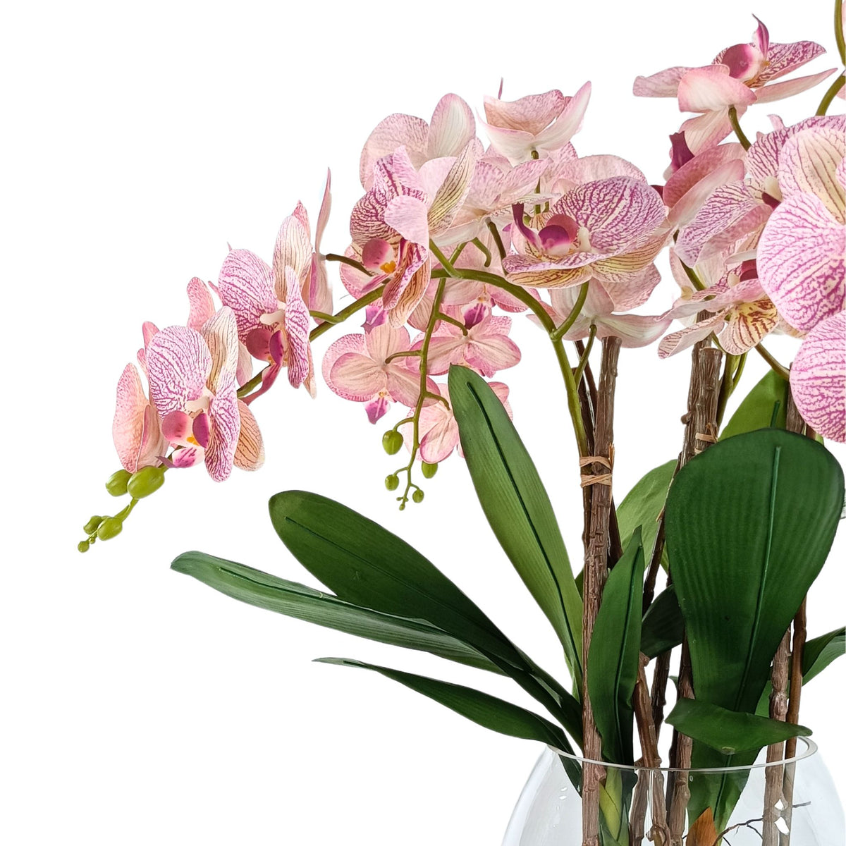 Phalaenopsis Pink White Orchid Arrangement in Glass Vase. Close up side view. Available from www.plantcouture.co.za