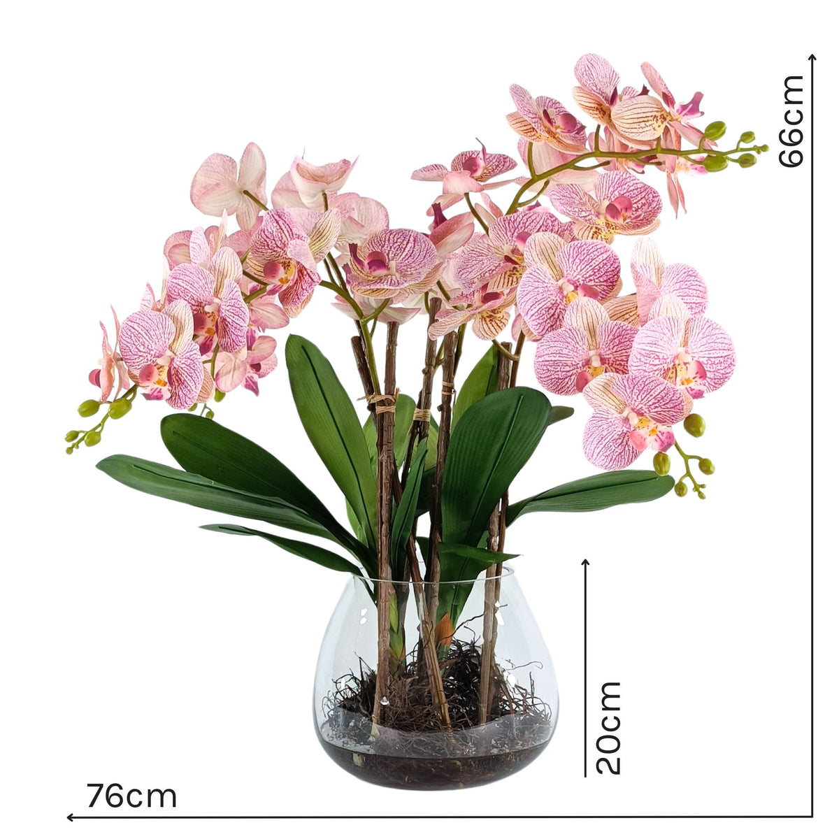 Phalaenopsis Pink White Orchid Arrangement in Glass Vase. Full view with measurements. Available from www.plantcouture.co.za
