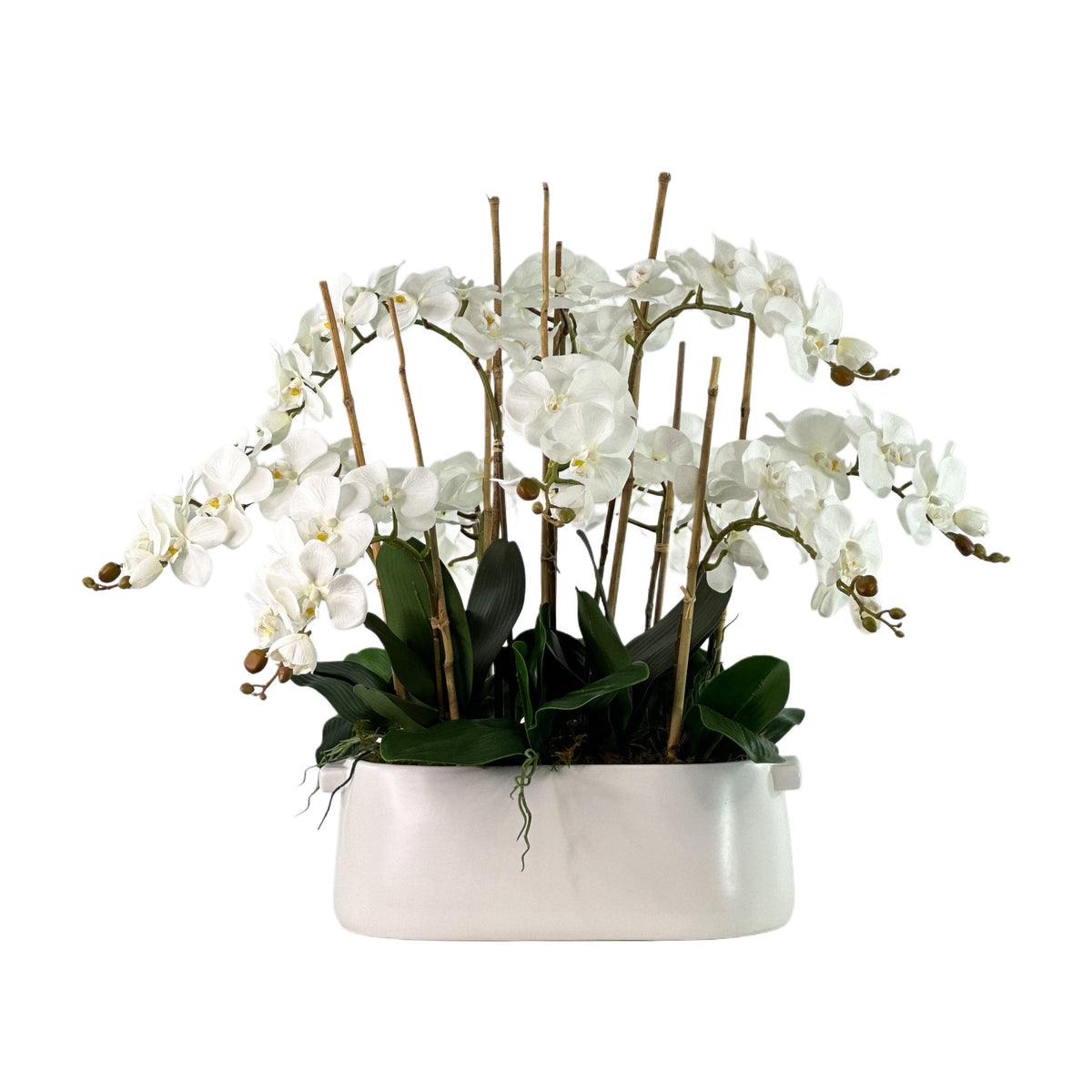 Artificial Palaenopsis Arrangement in chic white oval ceramic pot 66cm high 85cm wide