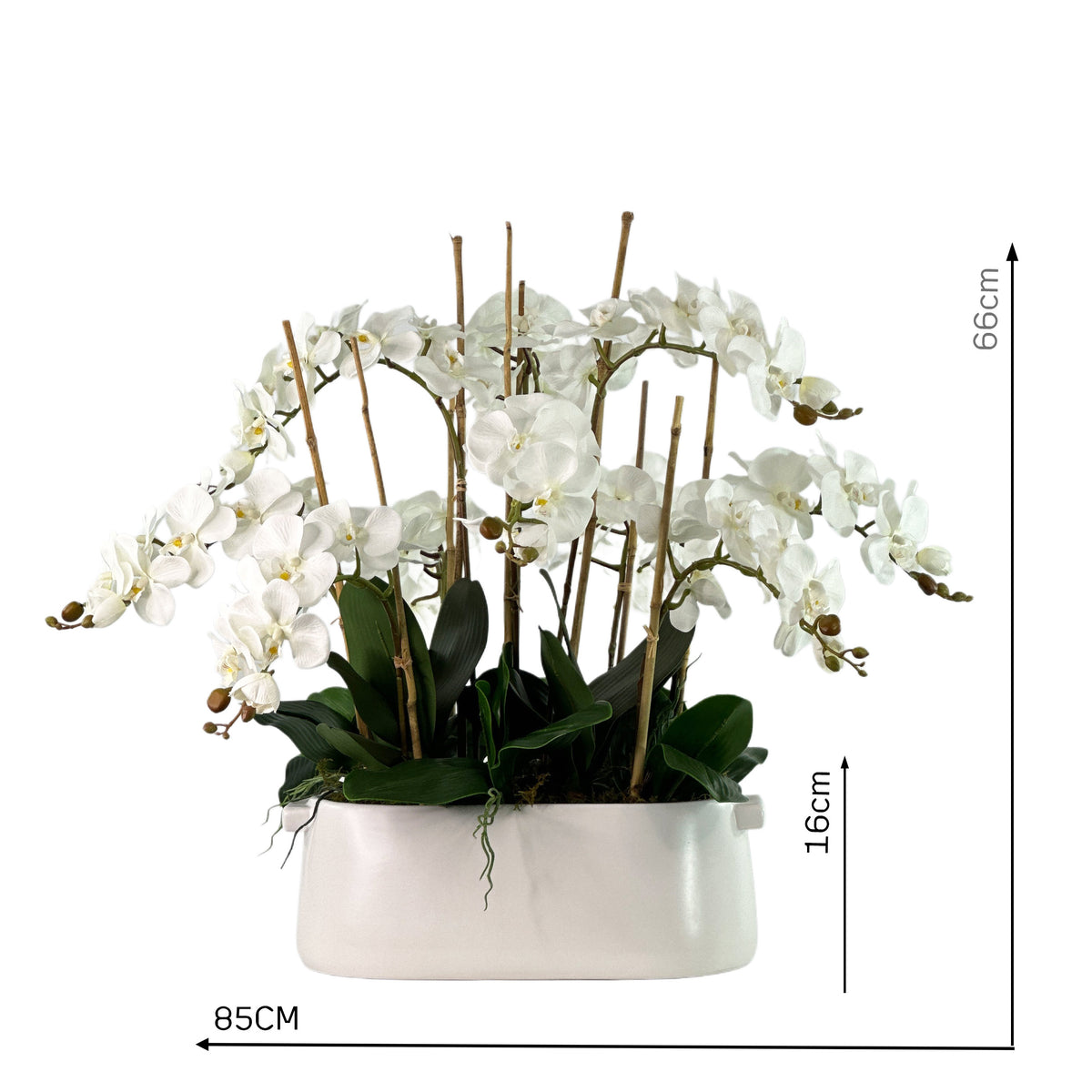 Artificial Palaenopsis Arrangement in chic white oval ceramic pot 66cm high 85cm wide with measurements