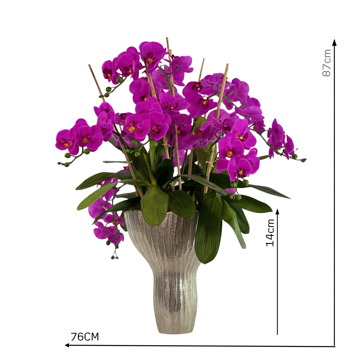 Phalaenopsis Orchid Fushia in Silver Pod Vase