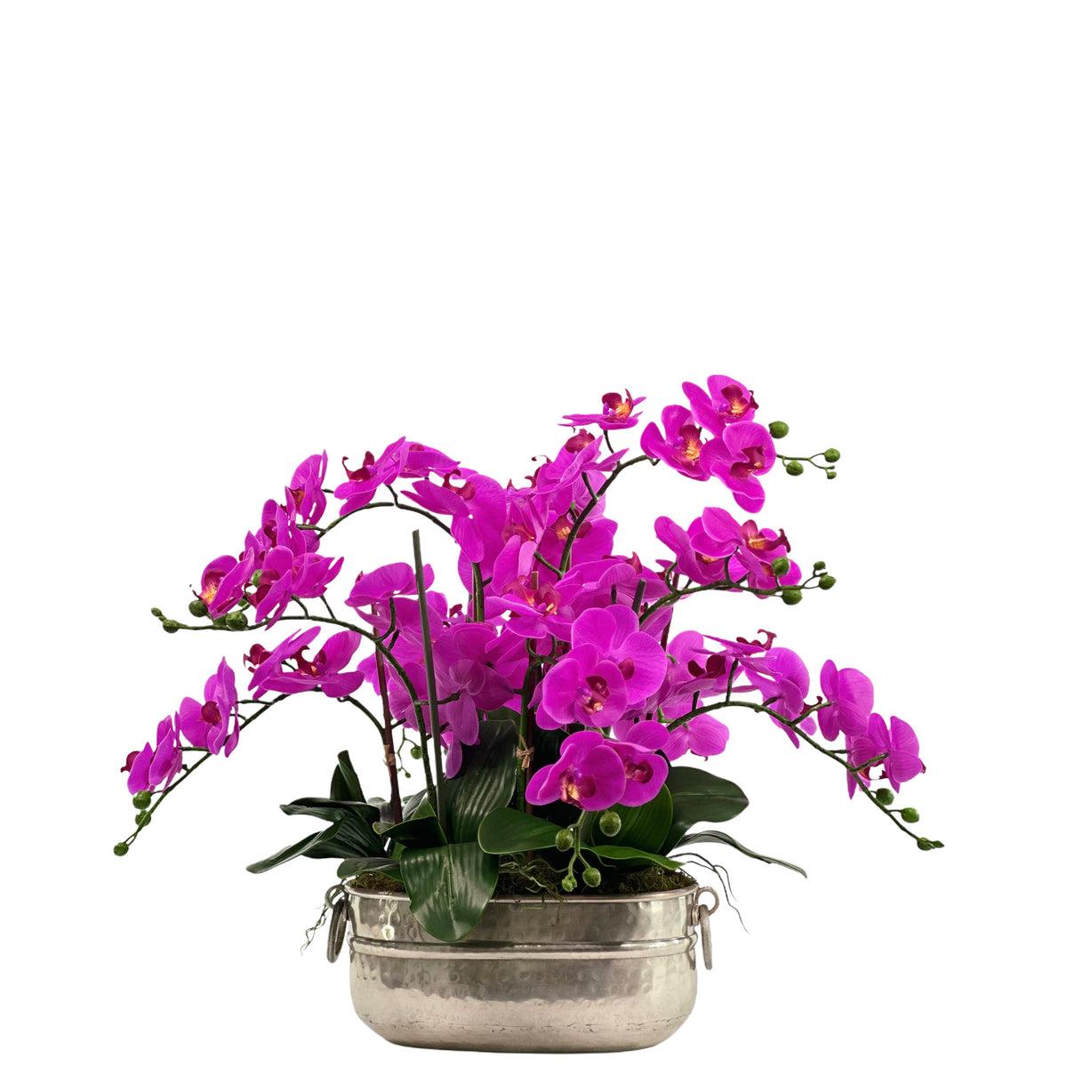 Artificial Phalaenopsis Orchid Fushia in Oval Tin