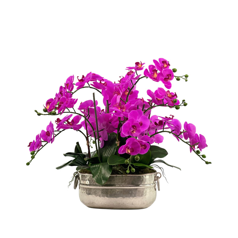 Artificial Phalaenopsis Orchid Fushia in Oval Tin