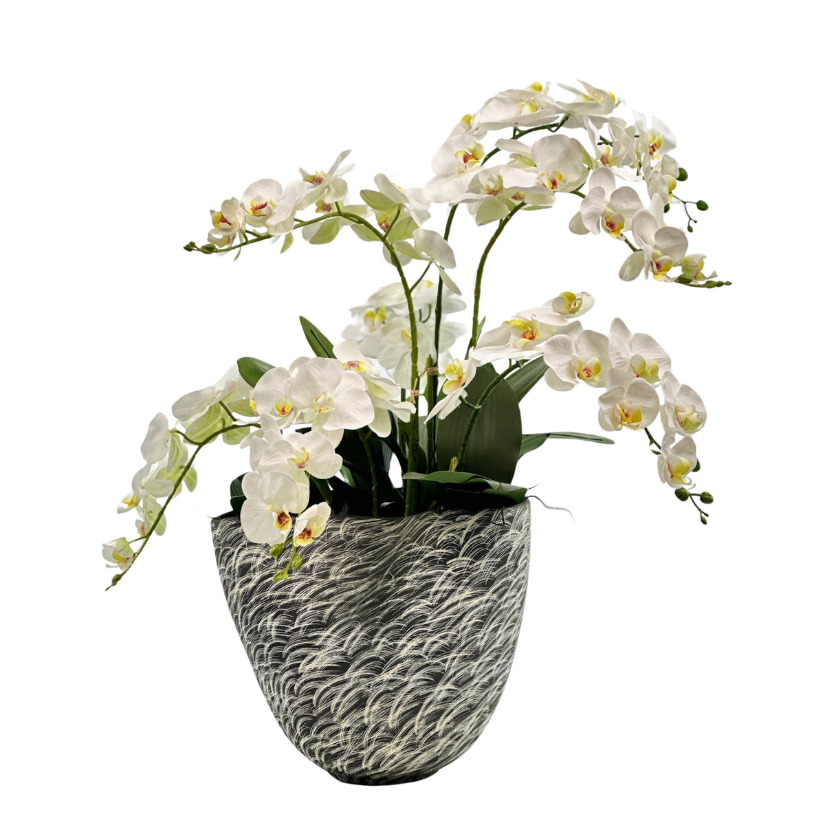 White Orchids Arrangement in Black Wave Ceramic