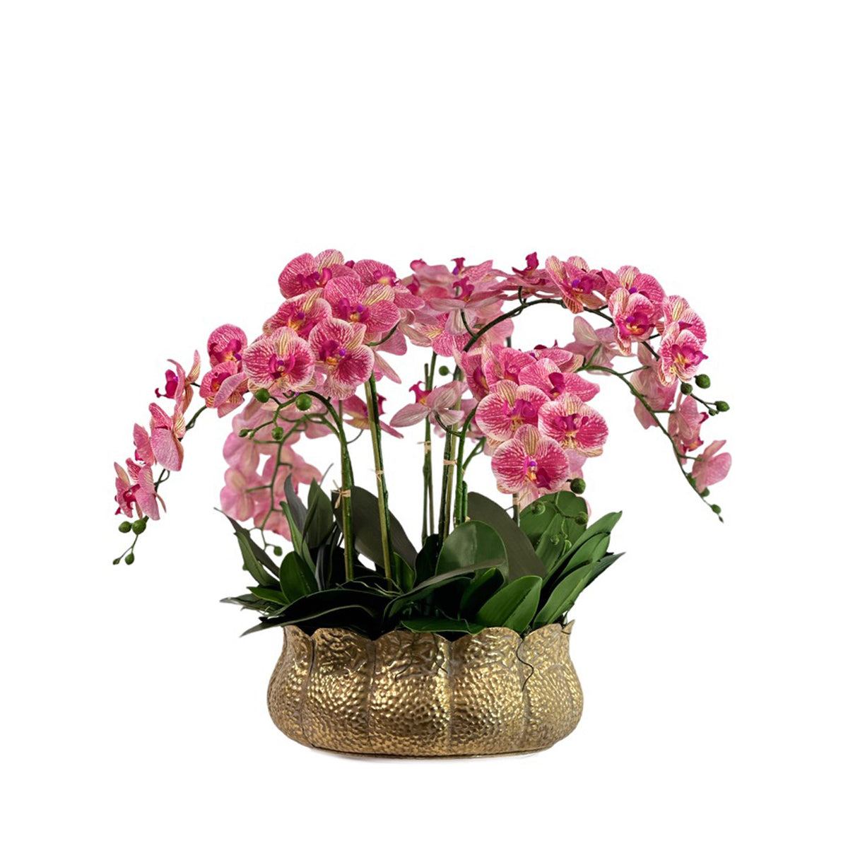 Pink Faux Phalaenopsis Orchid Arrangement in Gold Tulip Tin