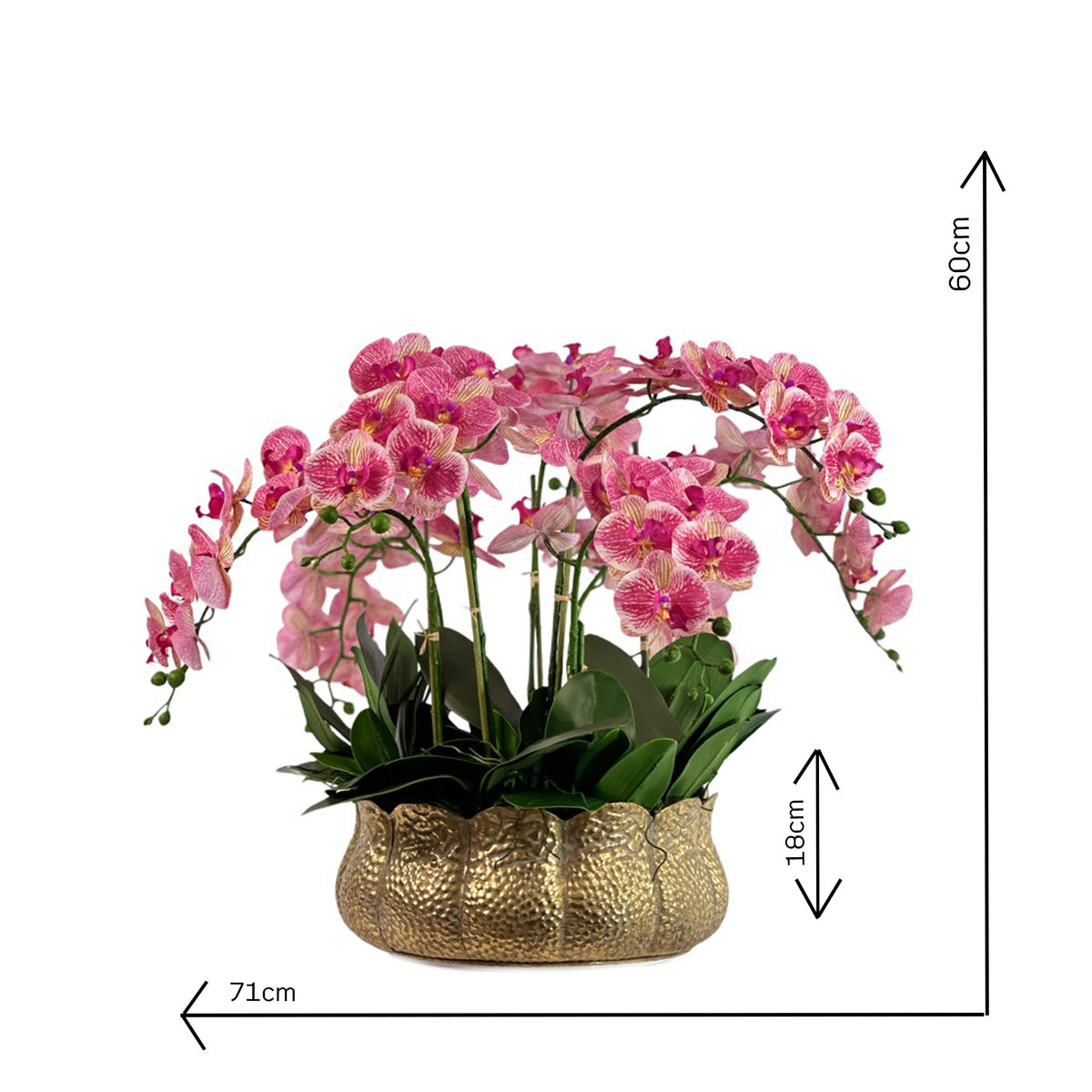 Pink Faux Phalaenopsis Orchid Arrangement in Gold Tulip Tin with measurements 71cm wide and 60cm Tall