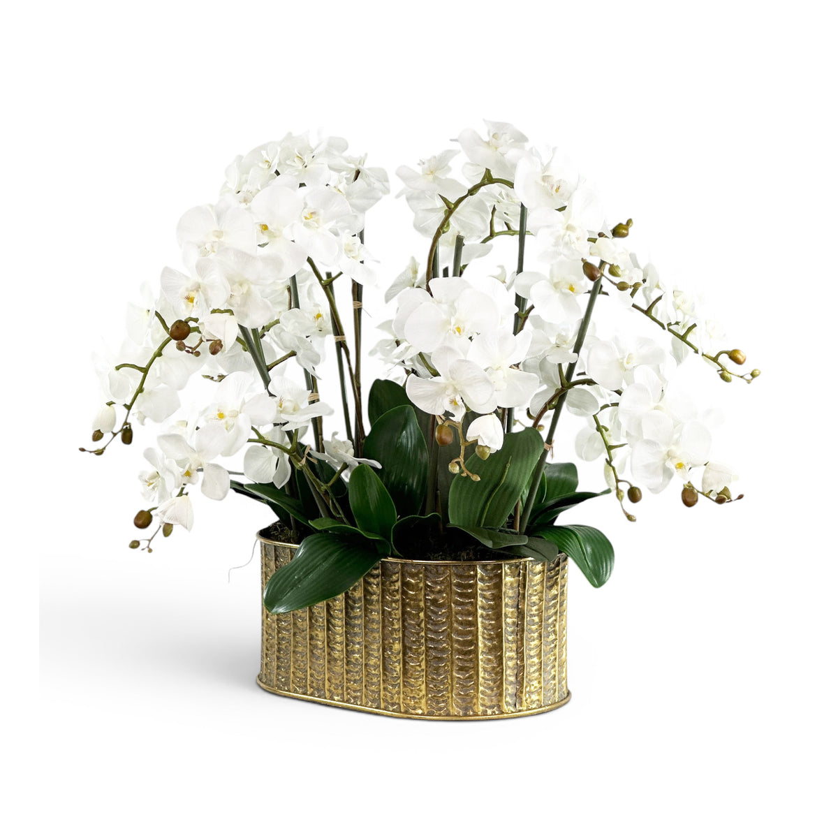 White faux phalaenopsis orchids in a decorative gold pot on a white background