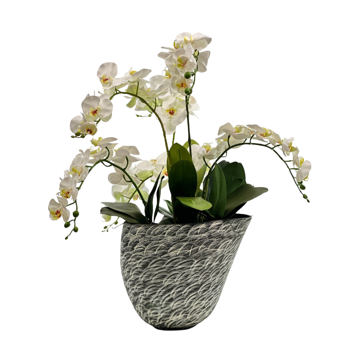 White Orchids Arrangement in Black Wave Ceramic