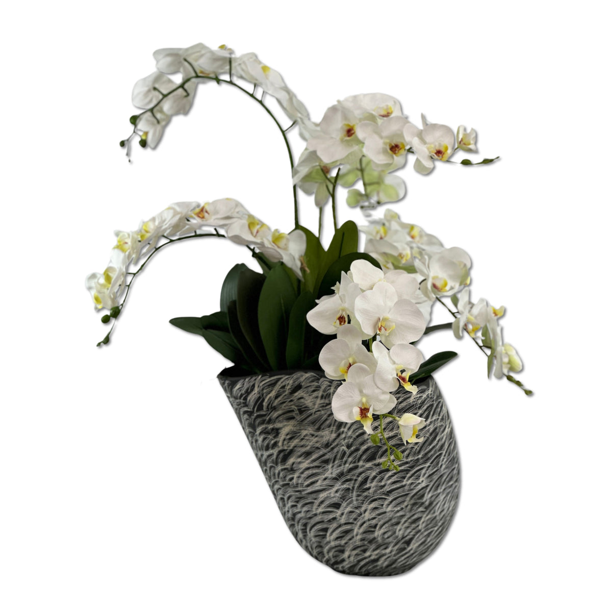White Orchids Arrangement in Black Wave Ceramic