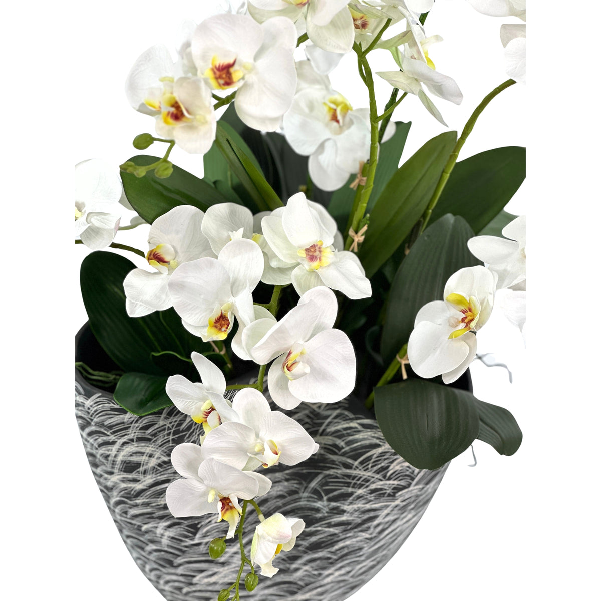 White Orchids Arrangement in Black Wave Ceramic