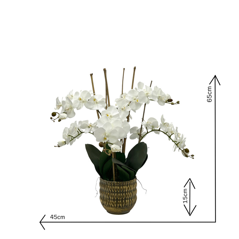Artificial Phalaenopsis Orchid Arrangement White in Gold Tin with measurements