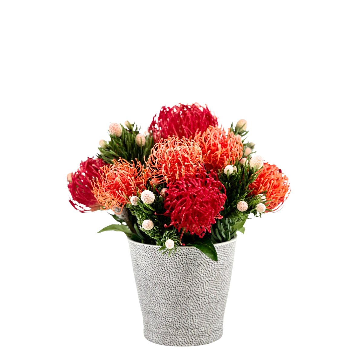 Pincushion & Protea Spray in Black & White Ceramic Planter