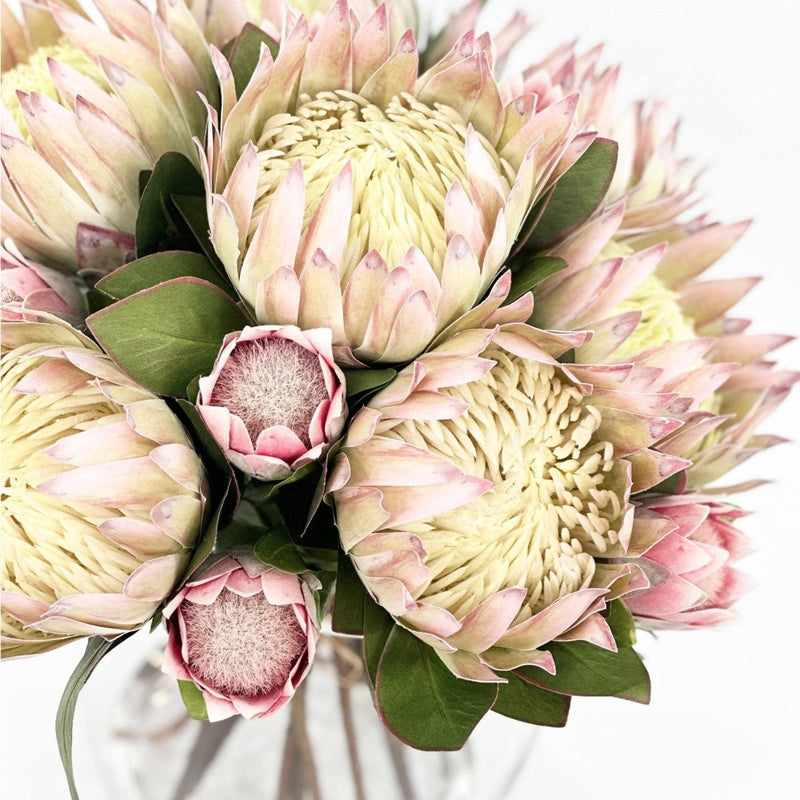 Green and Pink Protea Silk Flower Arrangement. Highlighted top view. Purchase arrangements from www.plantcouture.co.za
