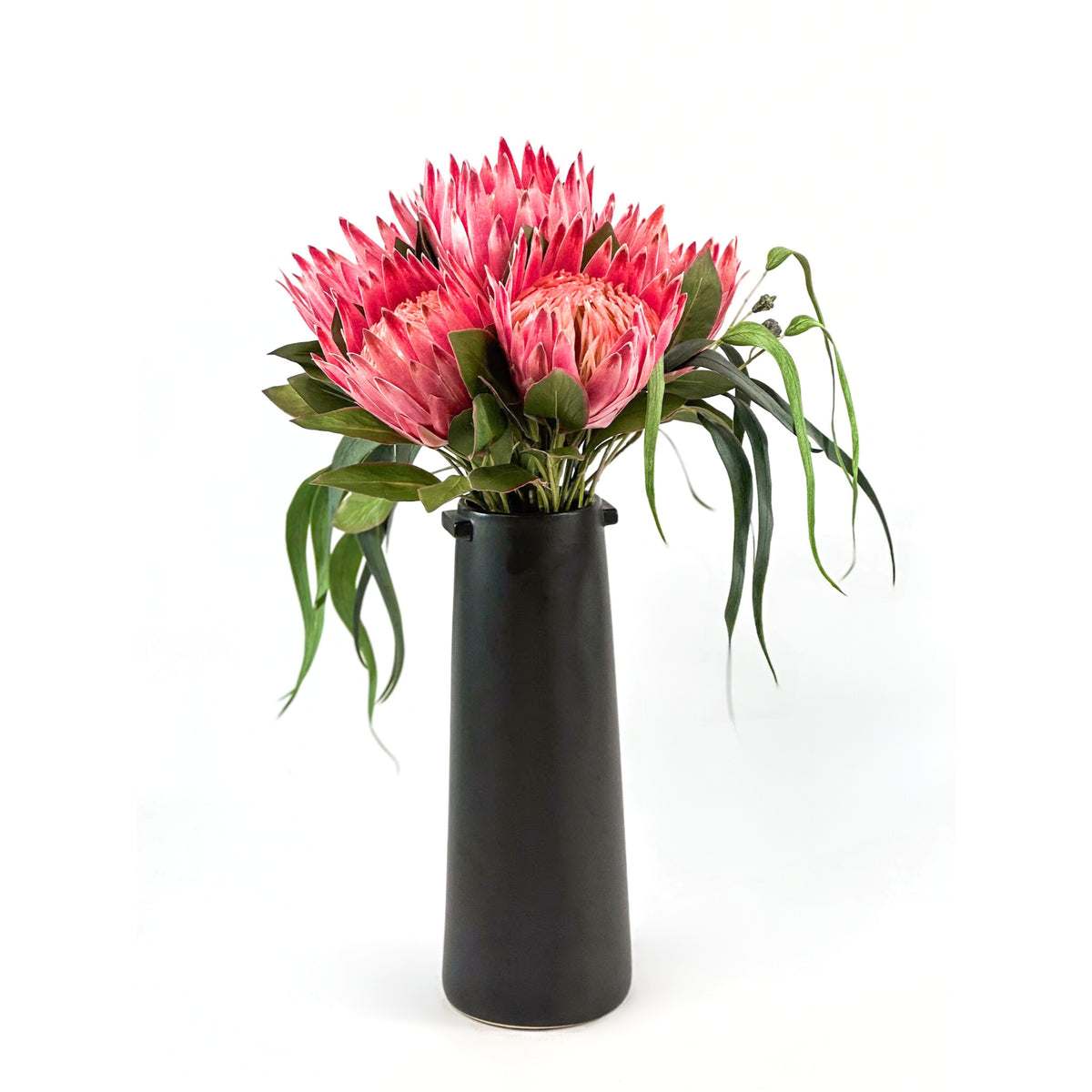 Protea Flower Arrangement in Tall Black Ceramic Vase