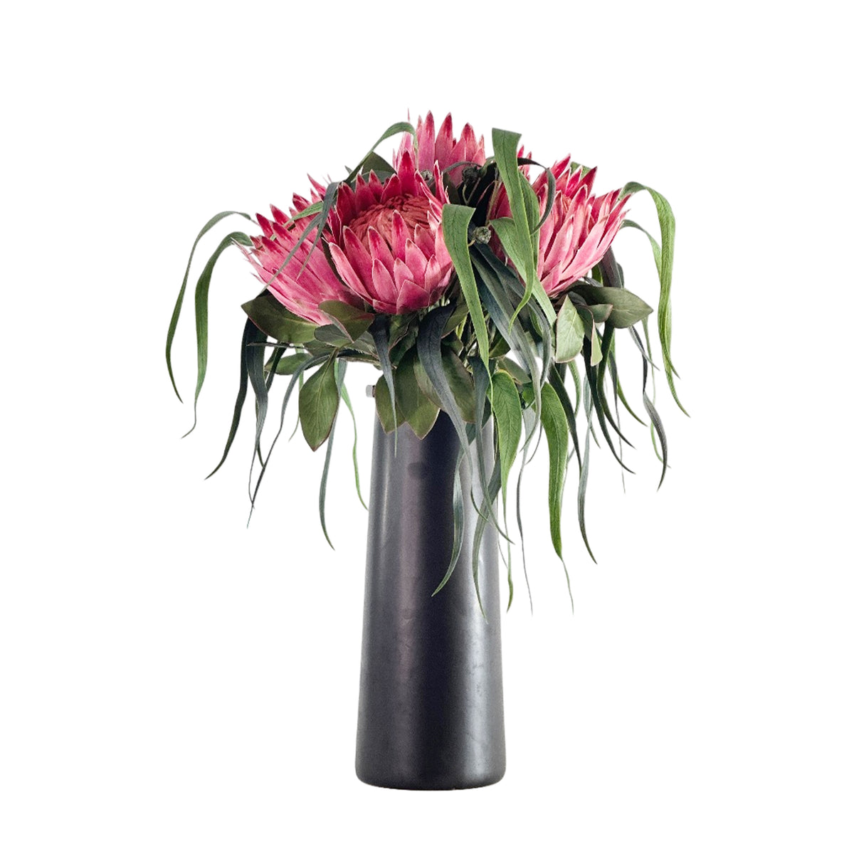 Pink flowers in a tall, dark vase on a white background