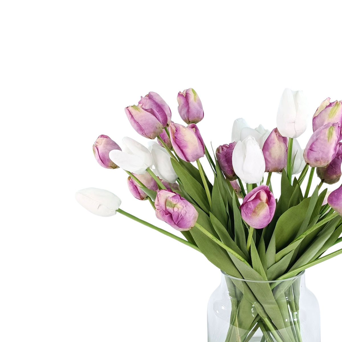 Tulip White Purple Arrangement - Small