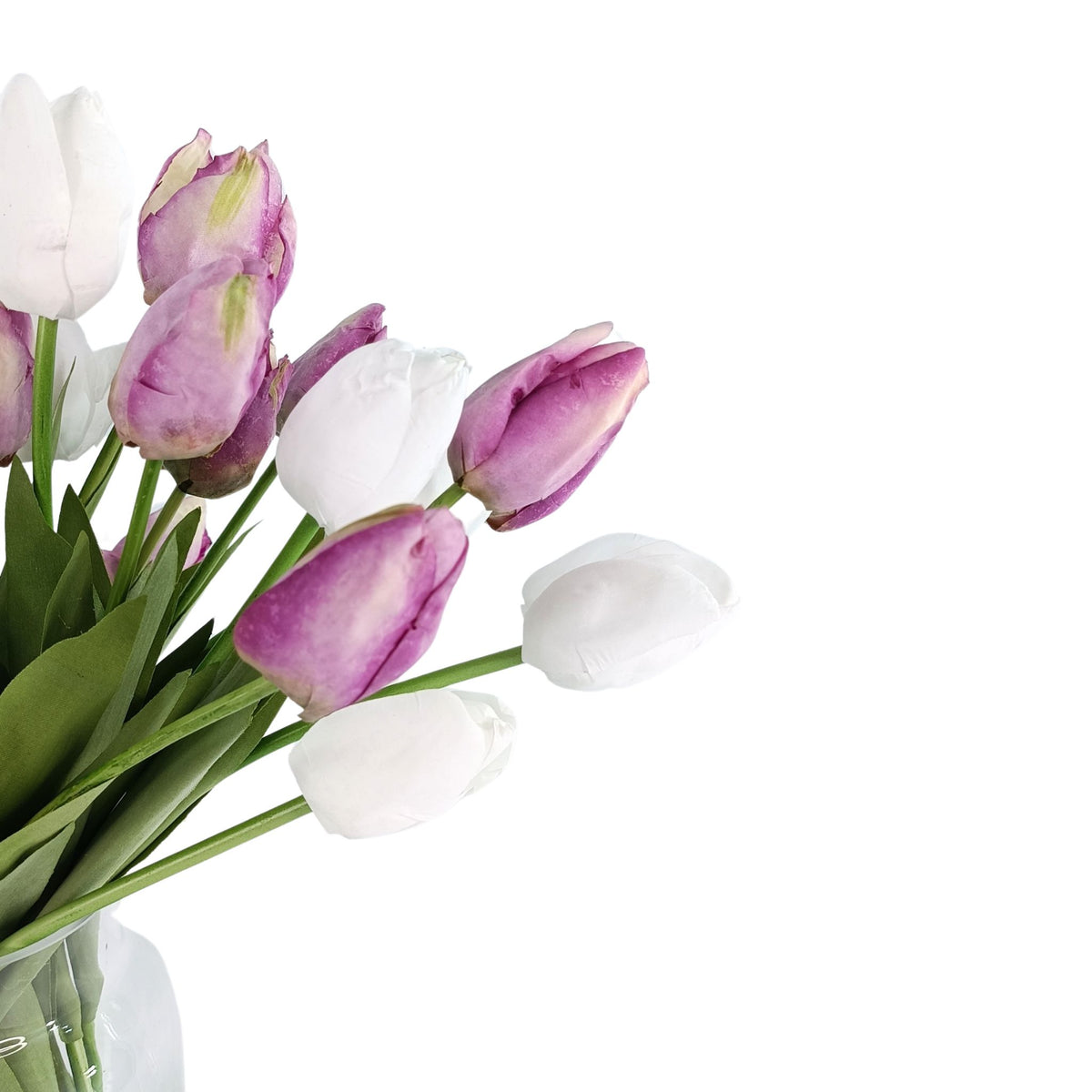 Tulip White Purple Arrangement - Small
