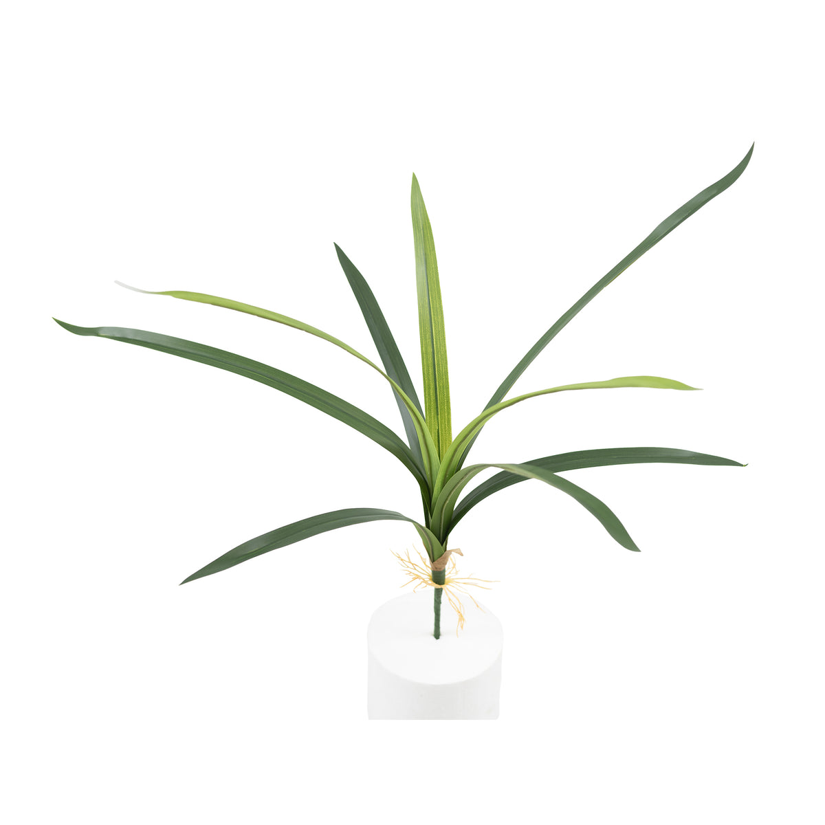 Cymbidium Leaf - 48cm