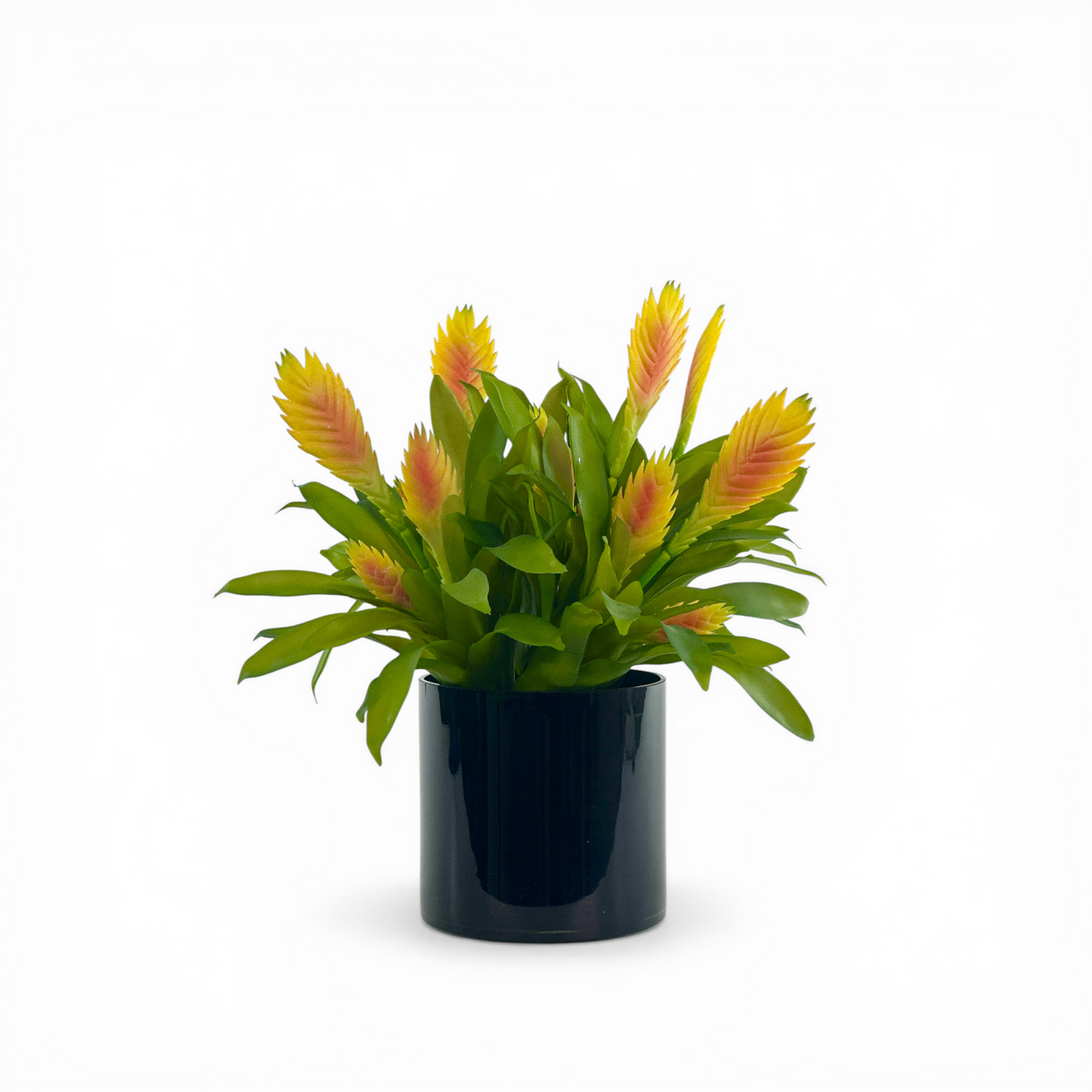Bromeliad Yellow Arrangement in Black Glass Vase