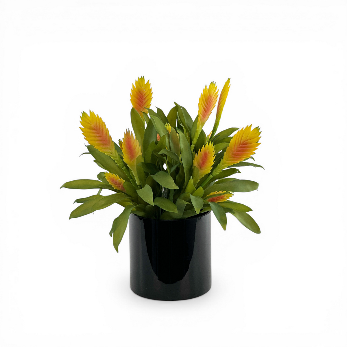 Bromeliad Yellow Arrangement in Black Glass Vase
