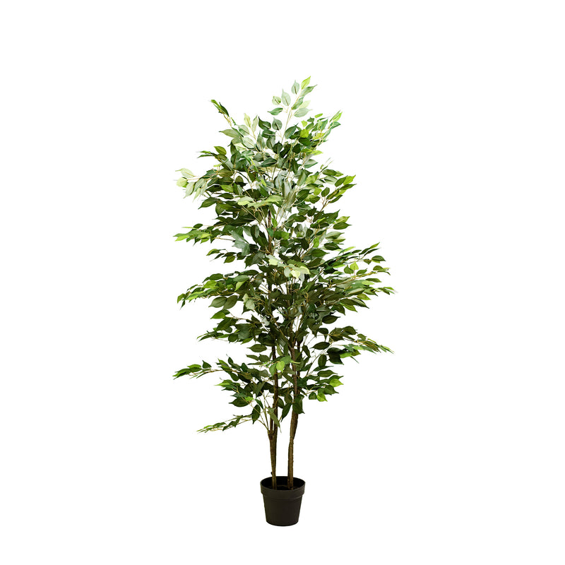 FAUX TALL FICUS 180CM TREE IN WEIGHTED BLACK POT