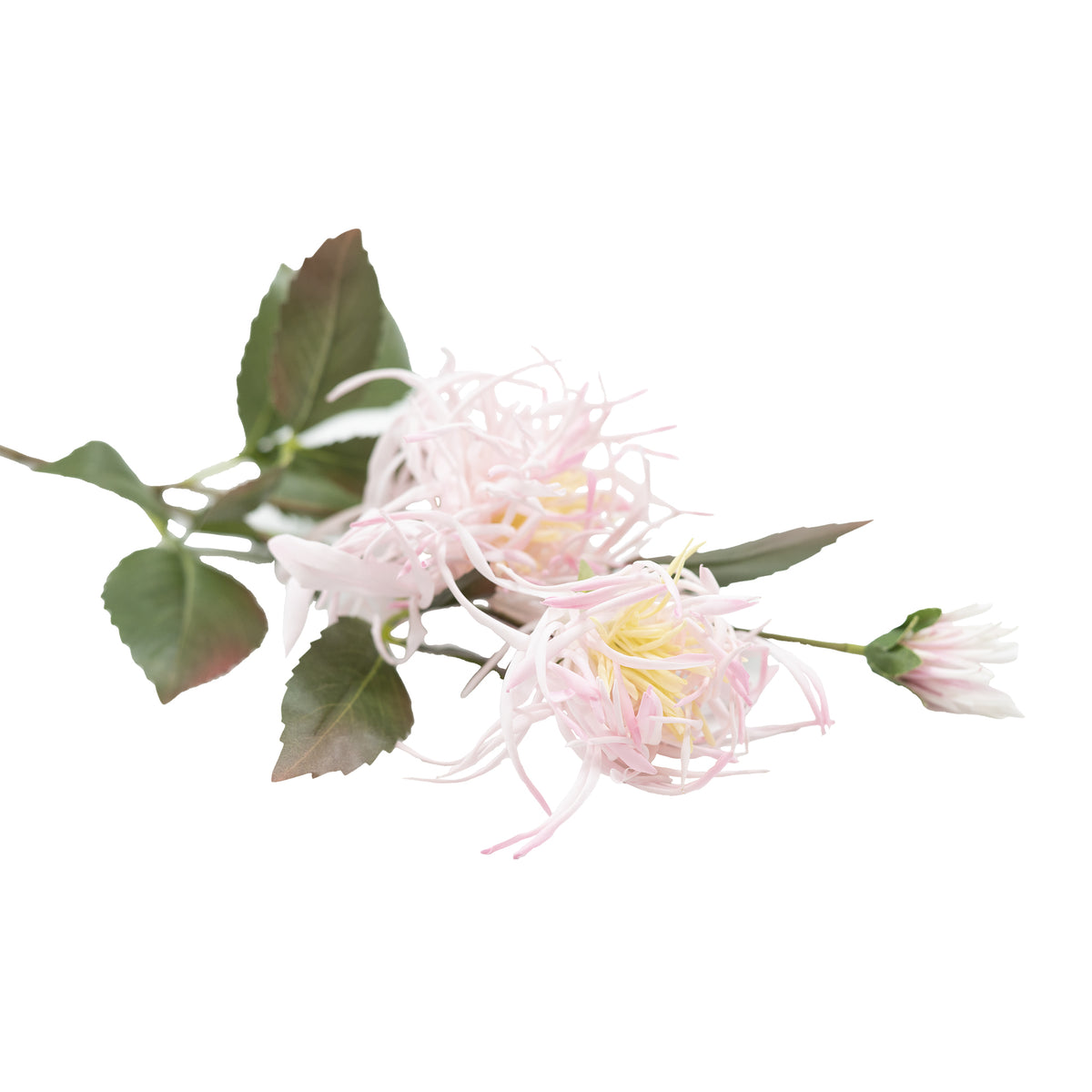 Spider Chrysanthemum Pink Beige Silk Flower Stem