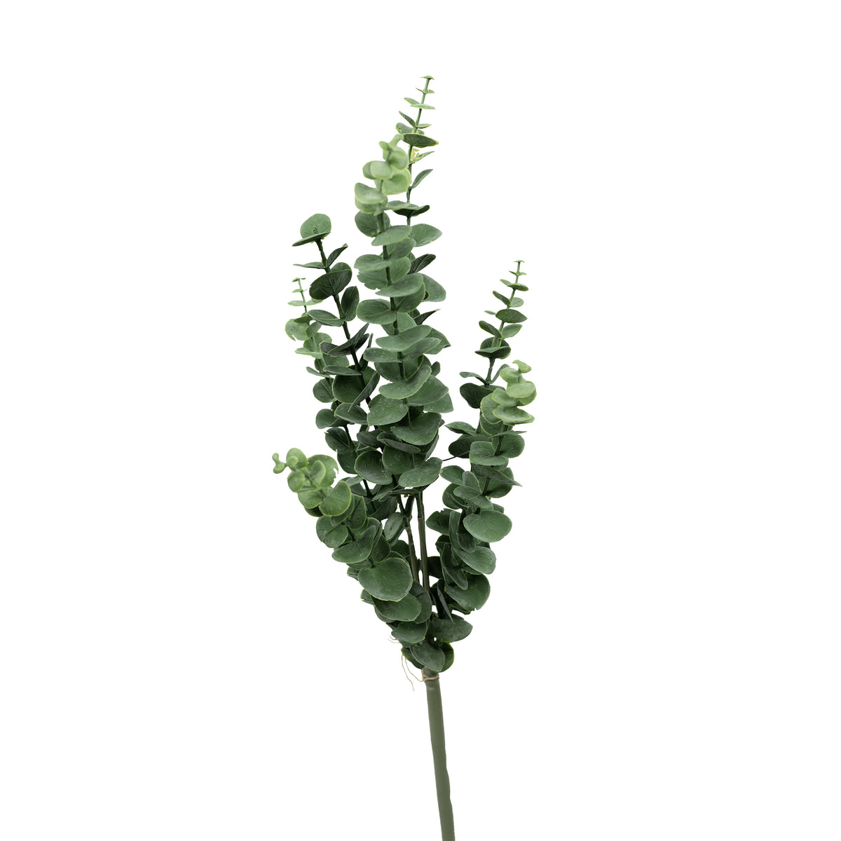 Elevate your silk flower arrangements with Pennygum Grey Stem - 65cm! This striking artificial foliage adds fullness and depth to any floral display. Perfect for creating a stunning centerpiece or accent piece with ease. Enhance your home decor with this versatile and beautiful addition. Buy from www.plantcouture.co.za