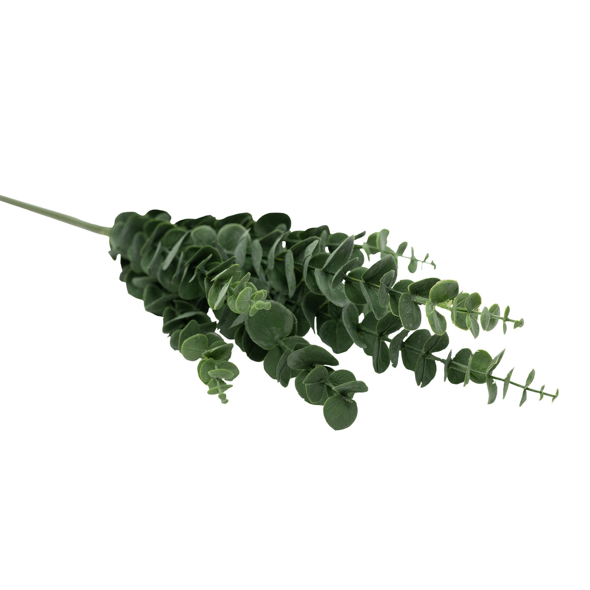 Elevate your silk flower arrangements with Pennygum Grey Stem - 65cm! This striking artificial foliage adds fullness and depth to any floral display. Perfect for creating a stunning centerpiece or accent piece with ease. Enhance your home decor with this versatile and beautiful addition. Buy from www.plantcouture.co.za