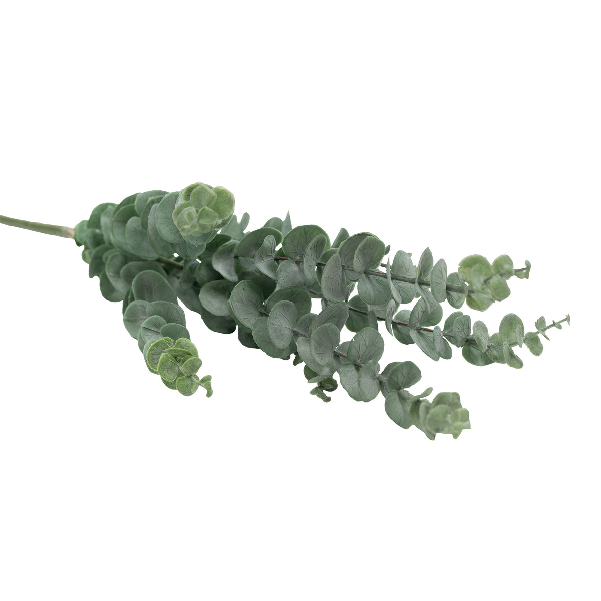 Pennygum Grey Stem 65cm. Artificial plants, foliage and silk flowers available from www.plantcouture.co.za