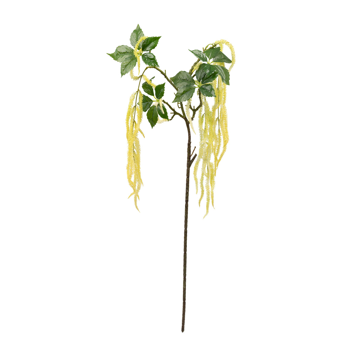 Golden Amaranthus Spray Stem