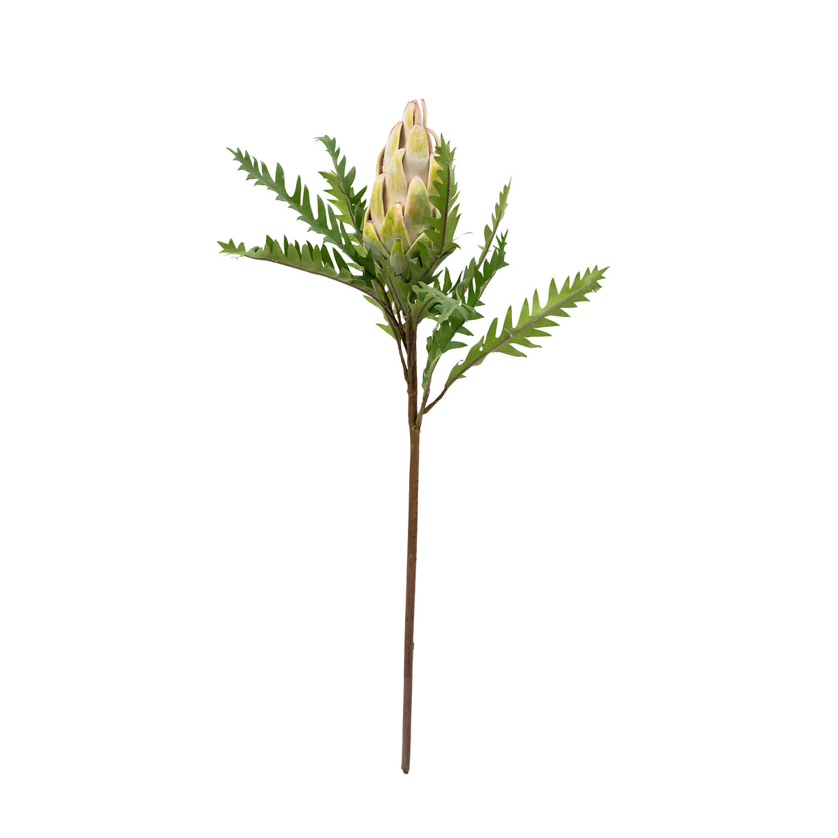 Artichoke Closed Green White Silk Flower Stem - 62cm