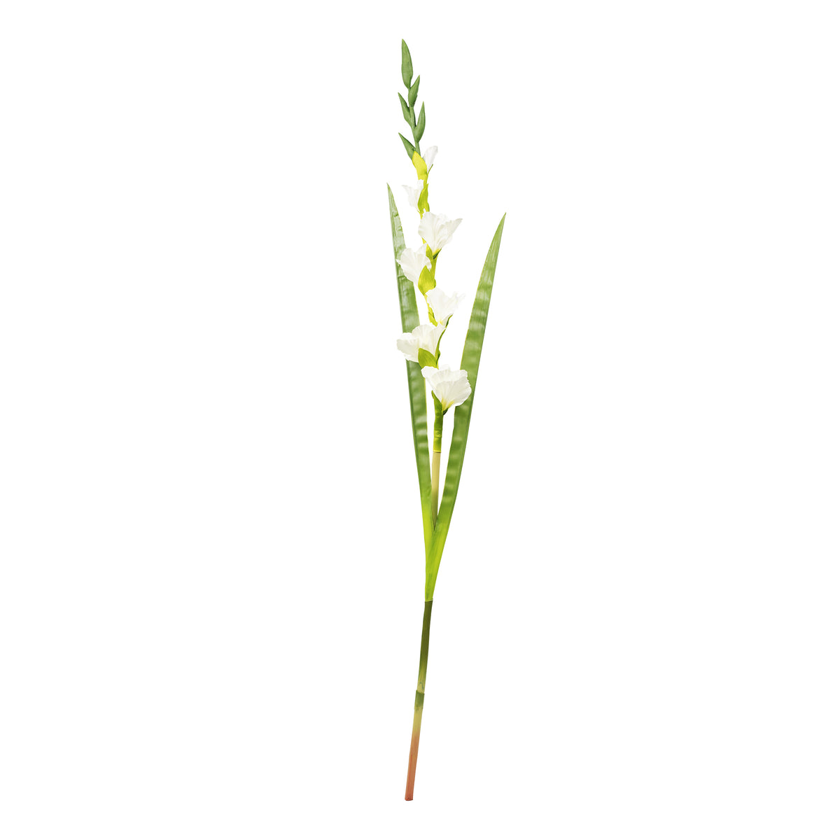Gladiolus White Silk Flower Stem - 120cm
