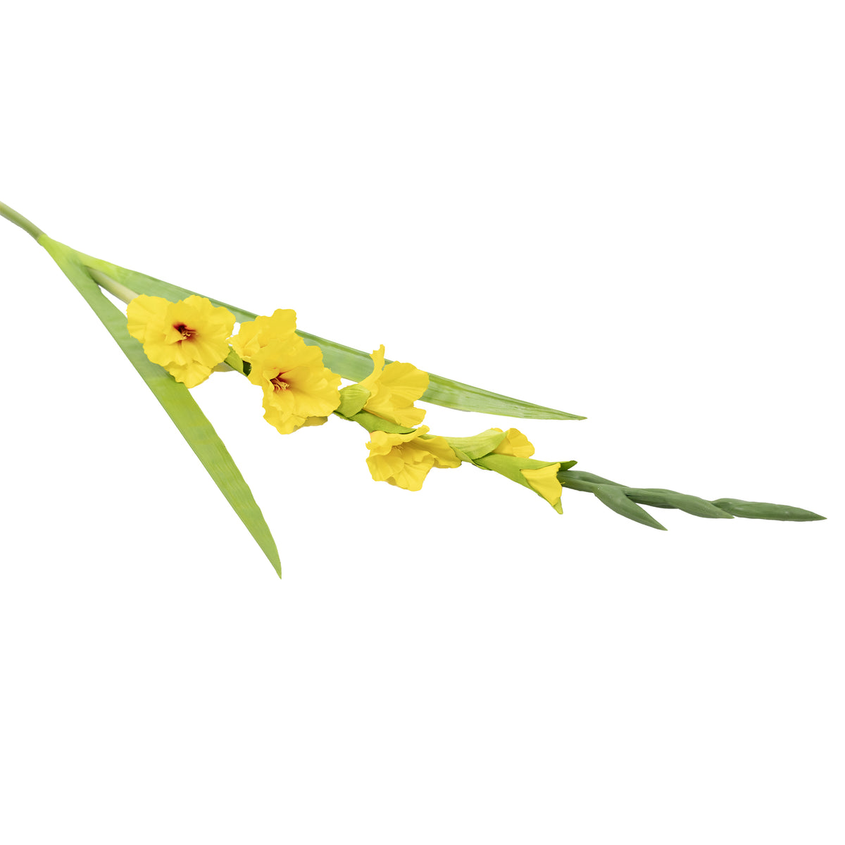 Gladiolus Yellow Silk Flower Stem - 120cm