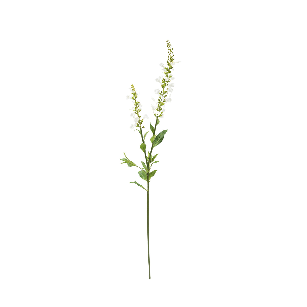 Oncidium White Silk Flower Stem - 75cm