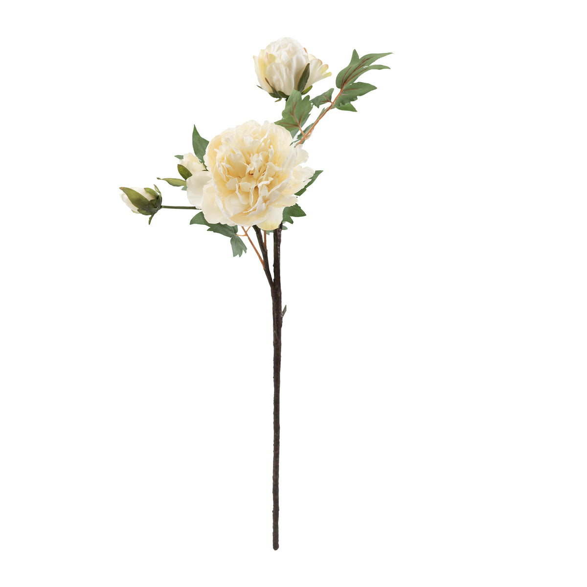 Peony Cream Silk Flower Stem - 65cm