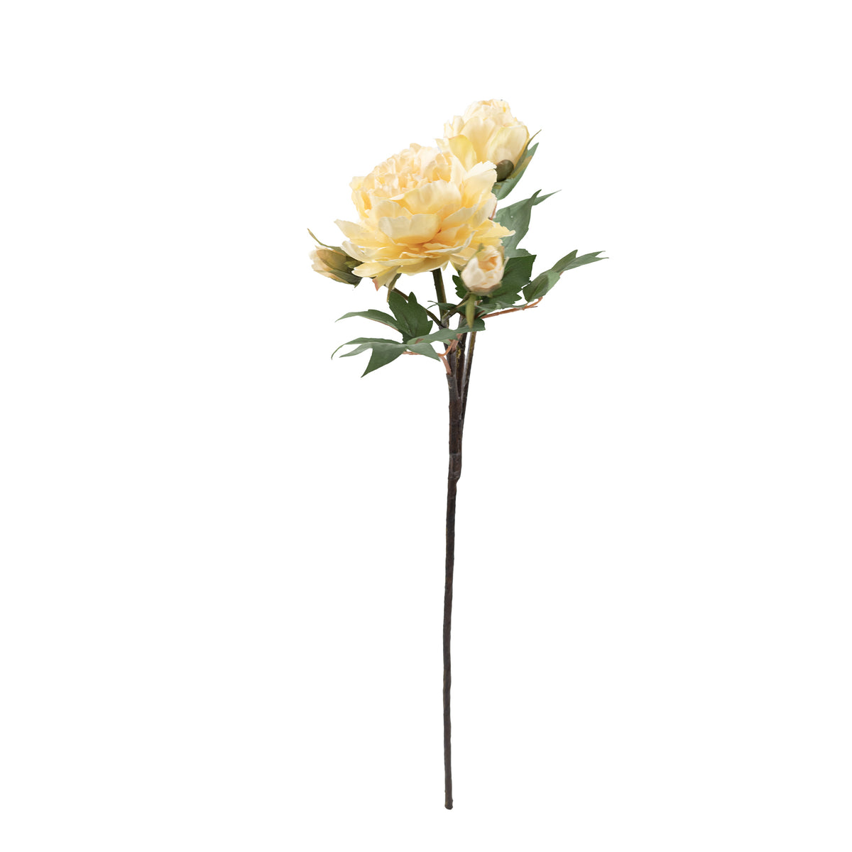 Peony Beige Yellow Silk Flower Stem - 65cm