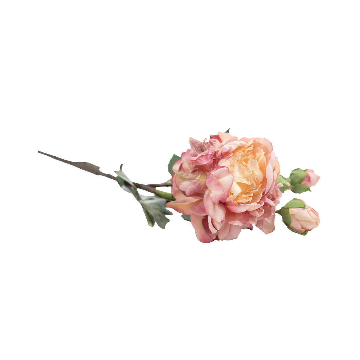 Peony Cream Pink Silk Flower Stem - 65cm