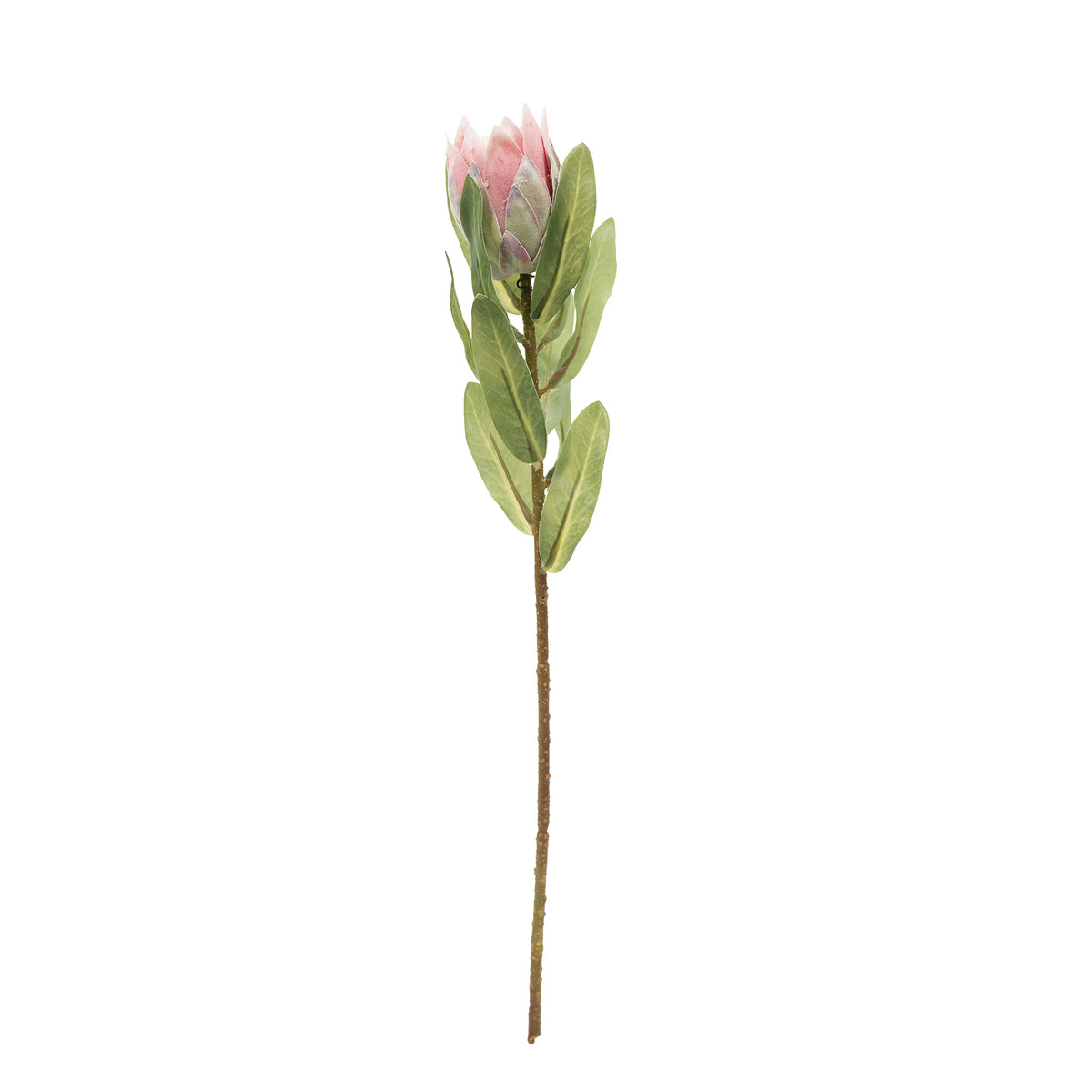 Protea Bud Green Pink Silk Flower Stem - 48cm