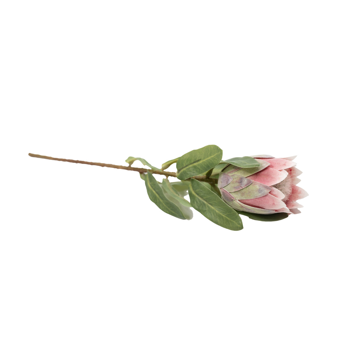 Protea Bud Green Pink Silk Flower Stem - 48cm