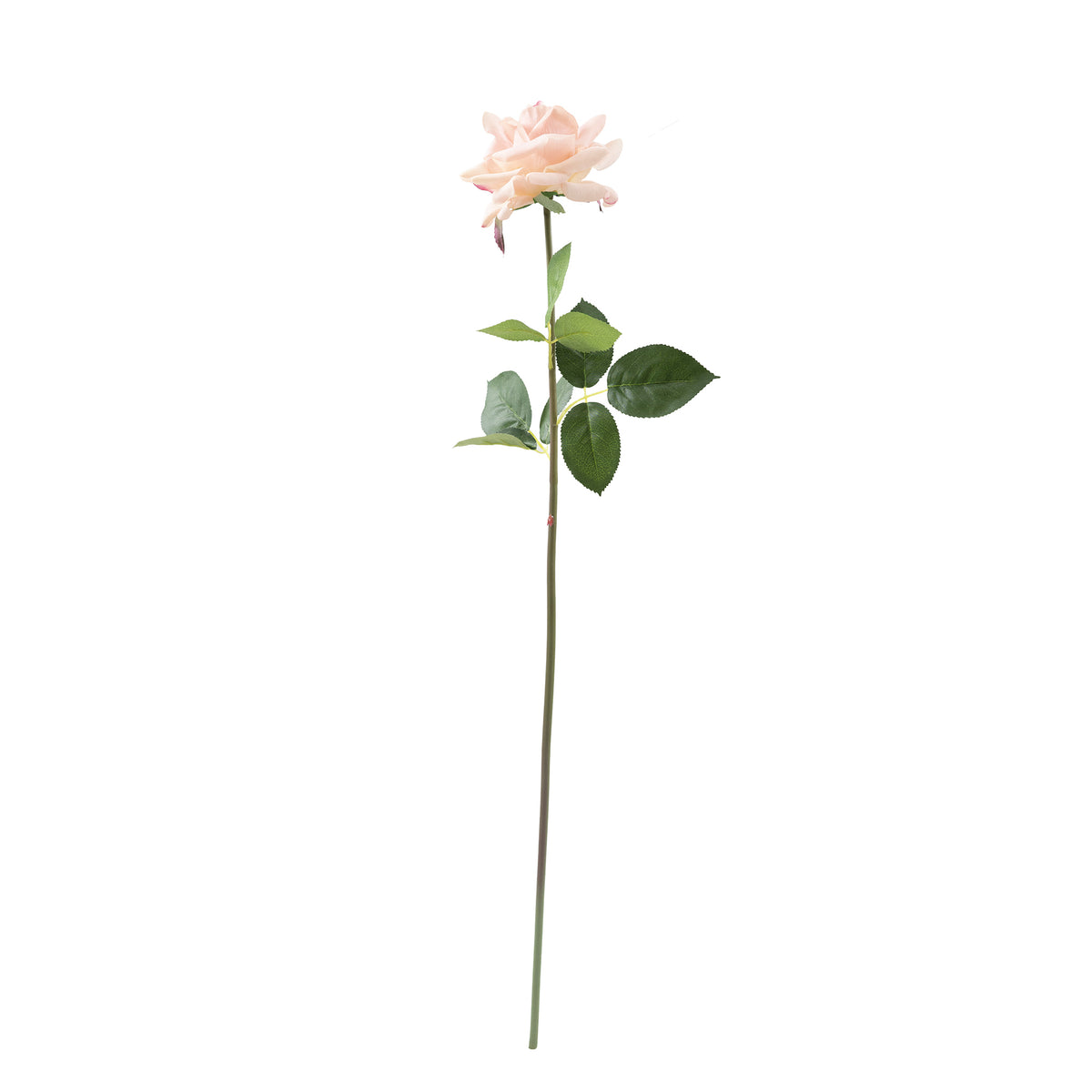 Open Rose Light Pink Real Touch Silk Flower Stem - 75cm