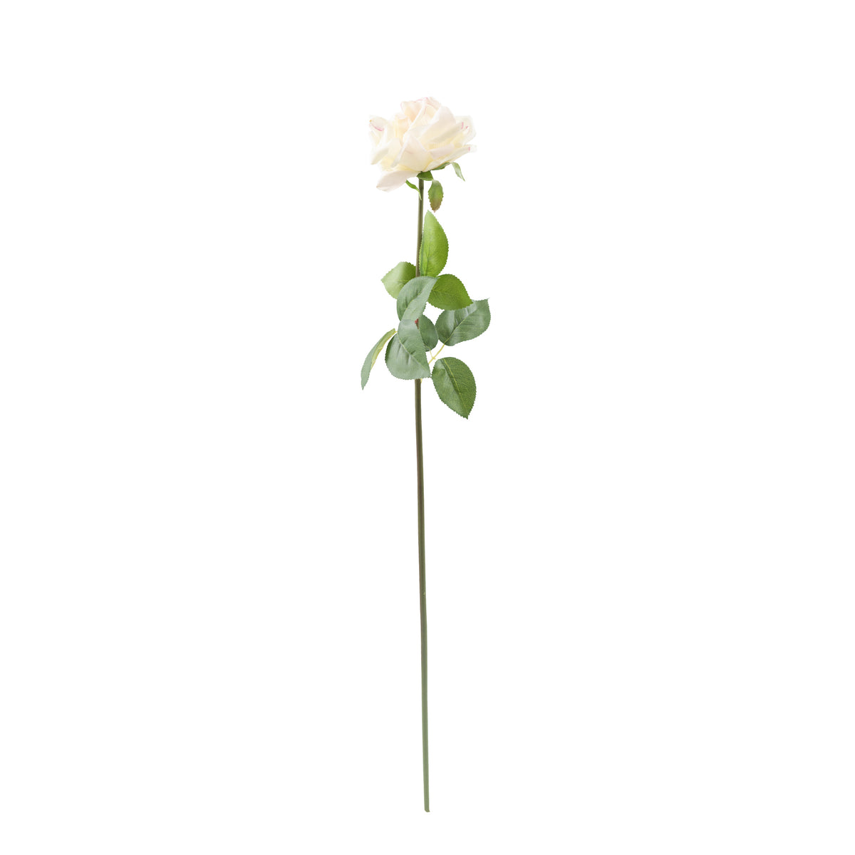 Flower Ropes Stem Rose Open White Pink Real Touch Silk Flower Stem 75cm - Plant Couture ...